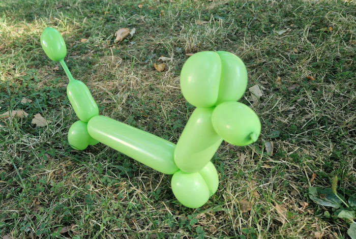 Taunus Soul Muenster Ballontiere Basteln